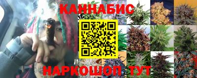 прущая мука Гай