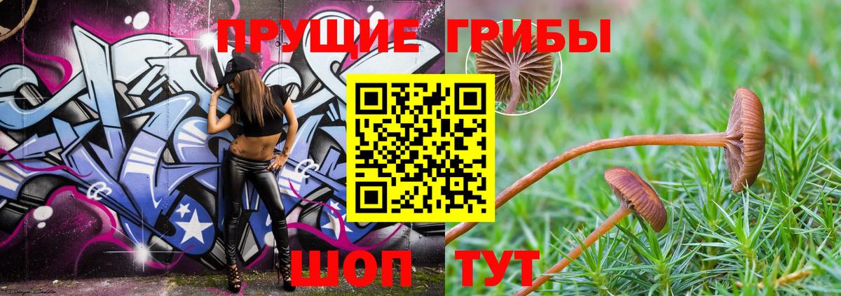 дарнет шоп  Галлюциногенные грибы MAGIC MUSHROOMS  Вход с VPN  Курск 