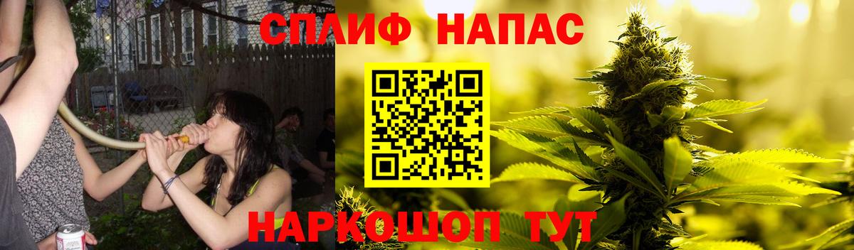 Каннабис сатива Курск